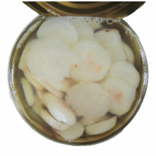 Canned water chestnut whole/slice